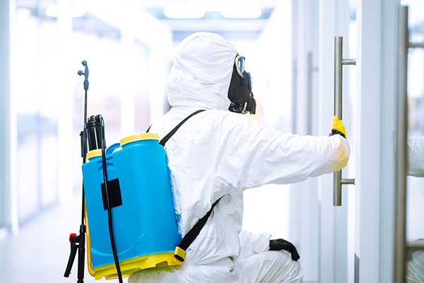 檢疫處理設(shè)備需要符合哪些標(biāo)準(zhǔn)及技術(shù)要求?